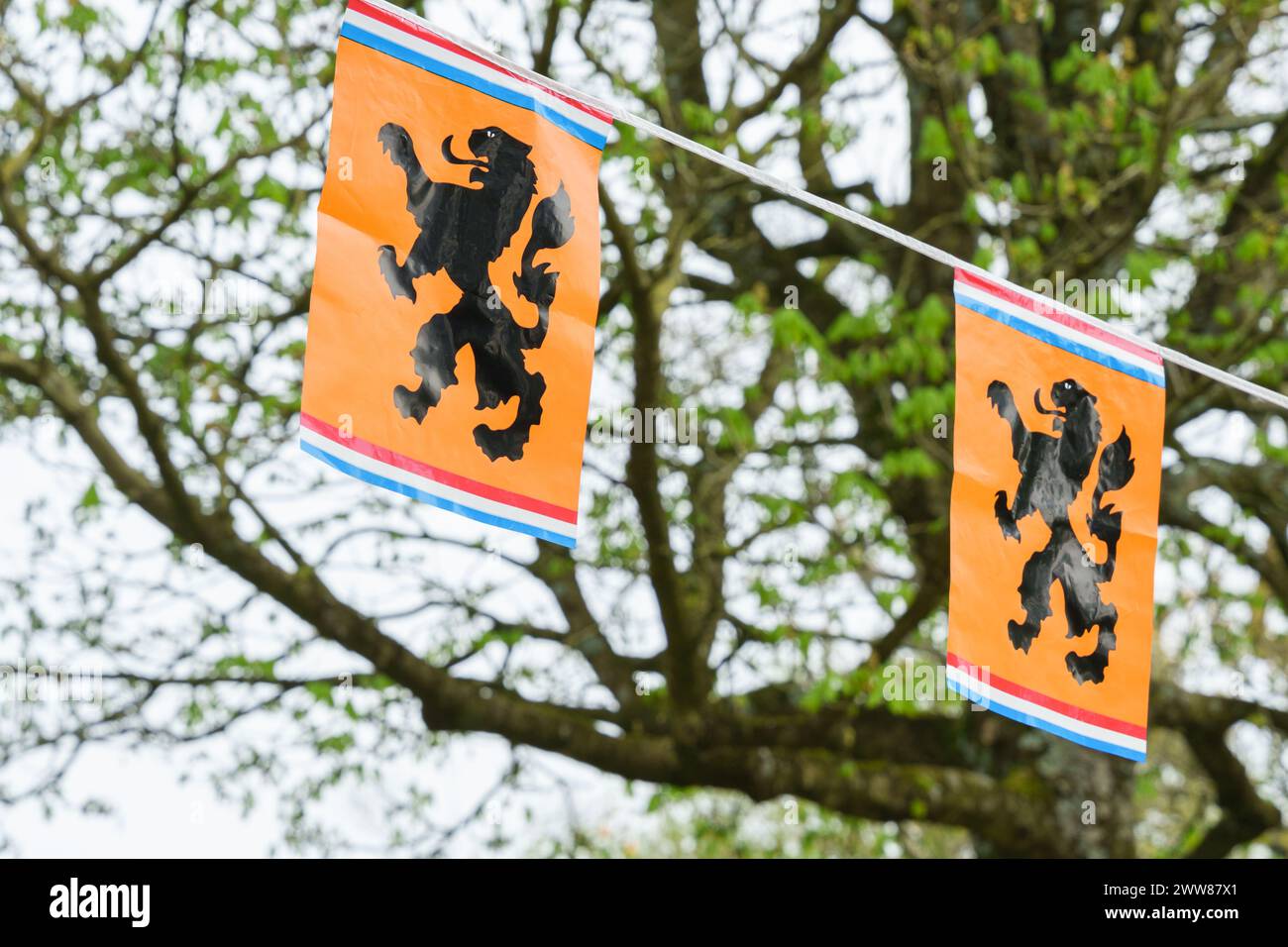 Bandiere arancioni con un leone appeso tra gli alberi, per celebrare una festa olandese, stemmi della famiglia reale - Paesi Bassi, Amsterdam, 27.04.2023 Foto Stock