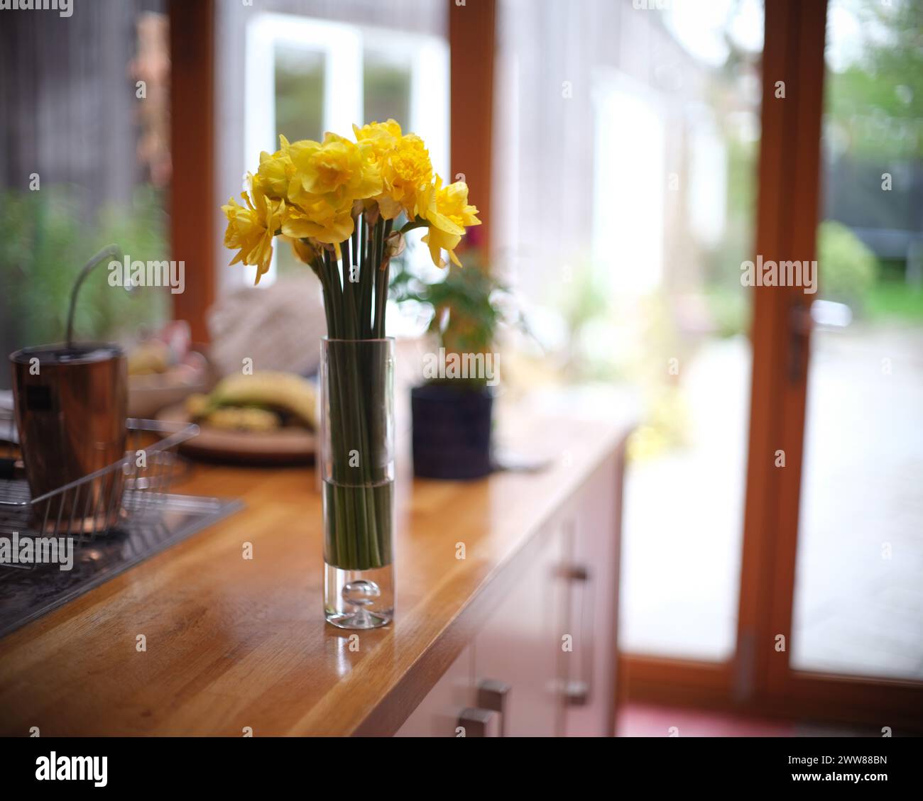 Fiori in un vaso in una cucina di casa Foto Stock