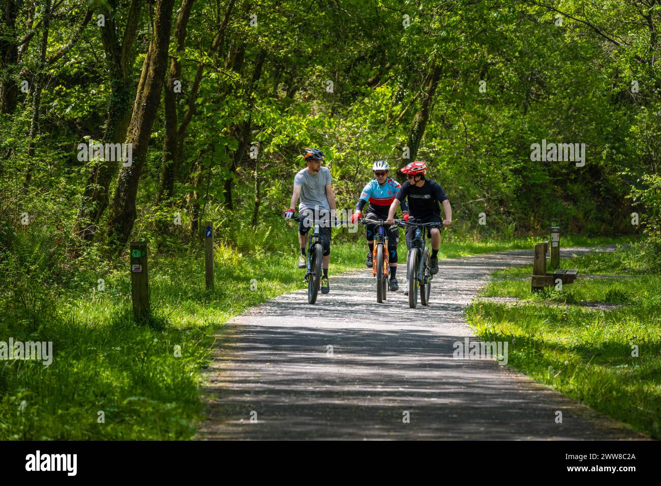 Mountain bike, Afan Forest Park, Galles, Regno Unito Foto Stock