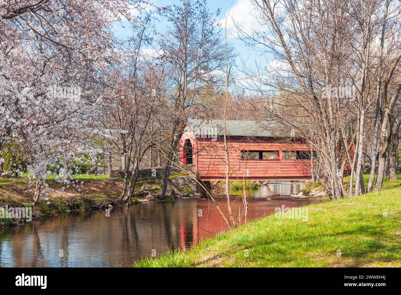 Carroll Creek Covered Bridge durante la stagione della fioritura dei ciliegi nel Baker Park. Frederick. Maryland Foto Stock