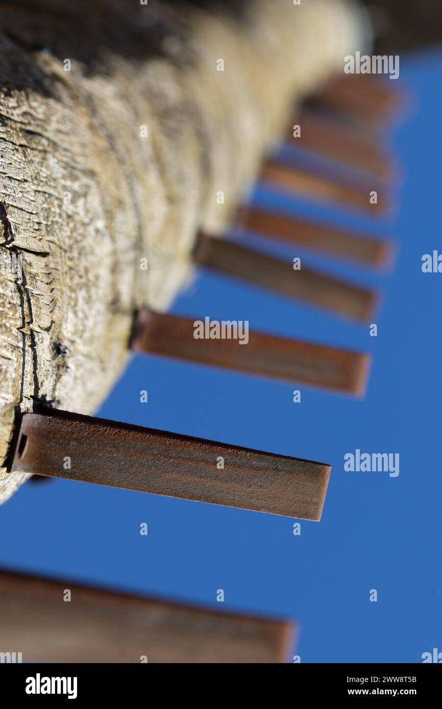 Pali a gradini su un'asta di legno con filo elettrico Foto Stock