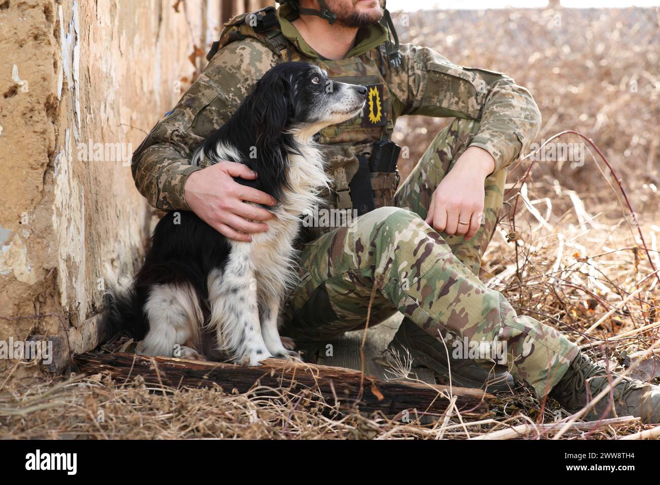 Soldato ucraino con cane randagio seduto all'aperto, primo piano Foto Stock