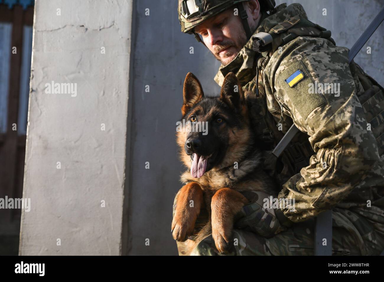 Soldato ucraino con cane da pastore tedesco all'aperto. Spazio per il testo Foto Stock