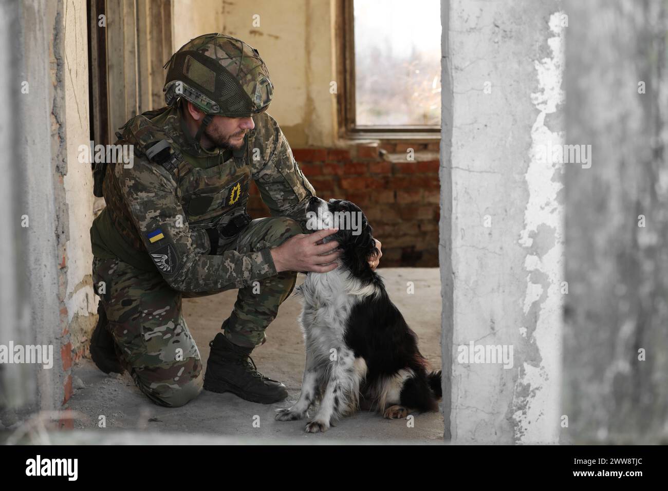 Soldato ucraino con cane randagio in un edificio abbandonato Foto Stock