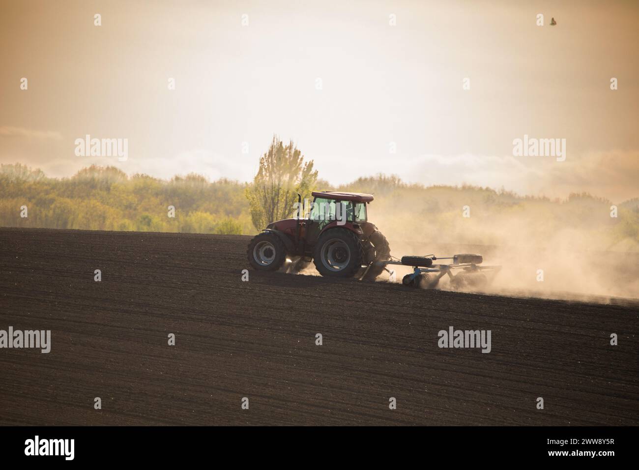 Arbusto: Trattore che crea il paesaggio del campo Foto Stock