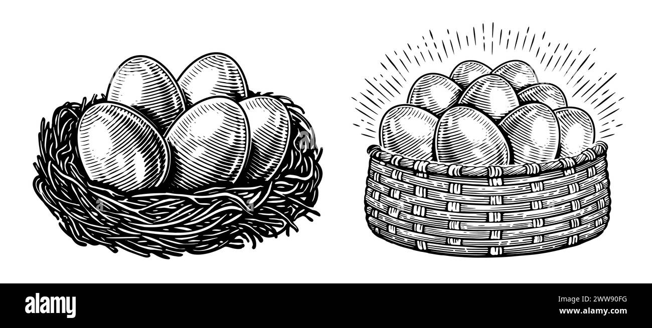 Uova di pollo. Set di alimenti biologici da fattoria. Disegno a mano disegno disegno illustrazione stile incisione Illustrazione Vettoriale