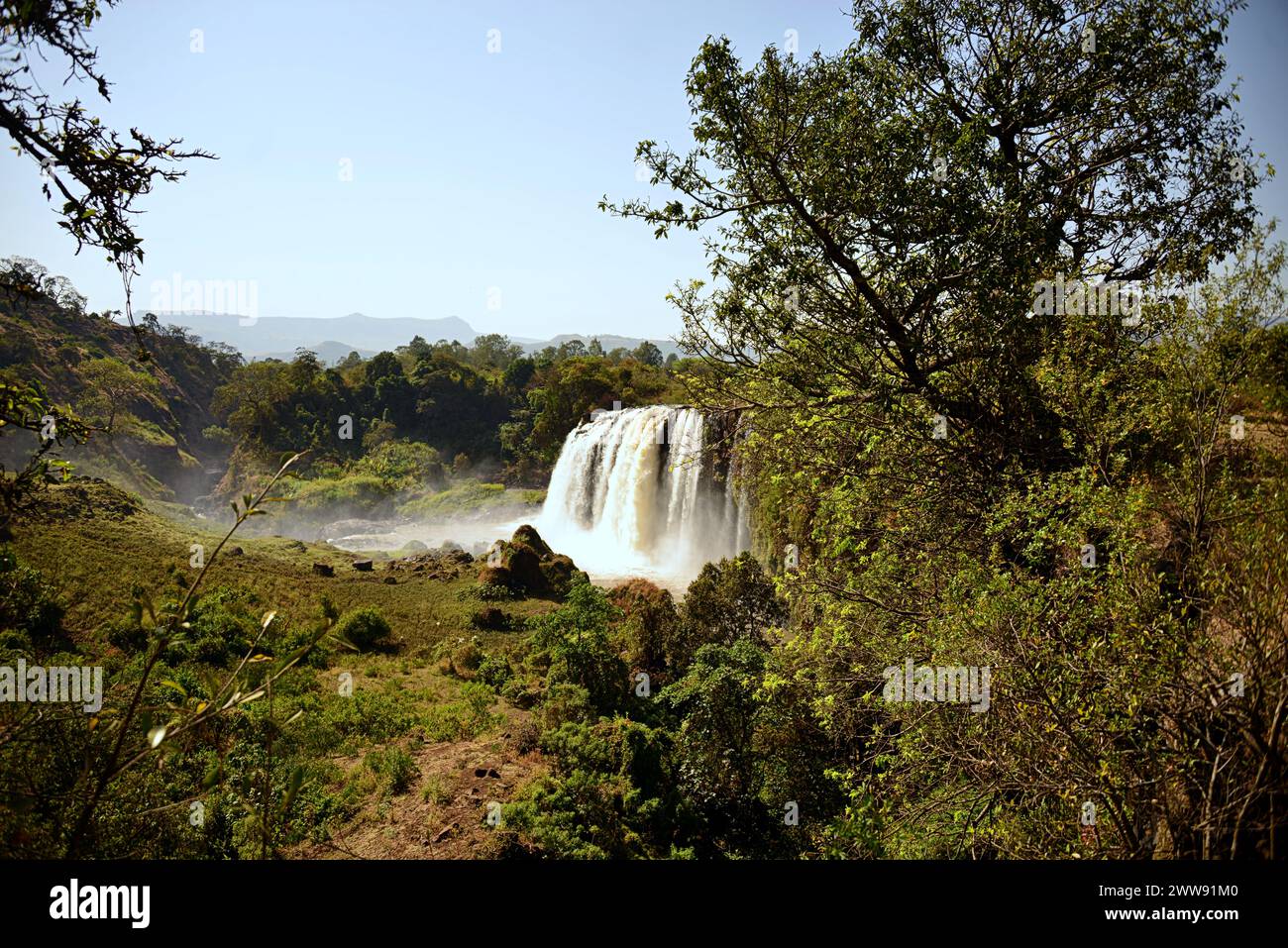 Le Blue Nile Falls sono cascate situate in Etiopia. Conosciuti come Tis Issat o Tissisat in amarico, si trovano nella prima parte del fiume, ab Foto Stock
