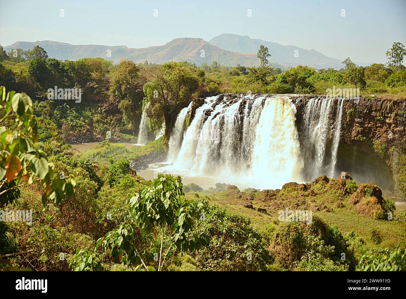 Le Blue Nile Falls sono cascate situate in Etiopia. Conosciuti come Tis Issat o Tissisat in amarico, si trovano nella prima parte del fiume, ab Foto Stock