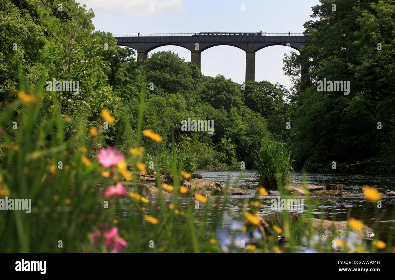26/06/13 è un bel tempo per andare in barca, mentre il sole splende su una barca stretta mentre naviga sopra l'acquedotto più alto e più lungo della Gran Bretagna. T Foto Stock