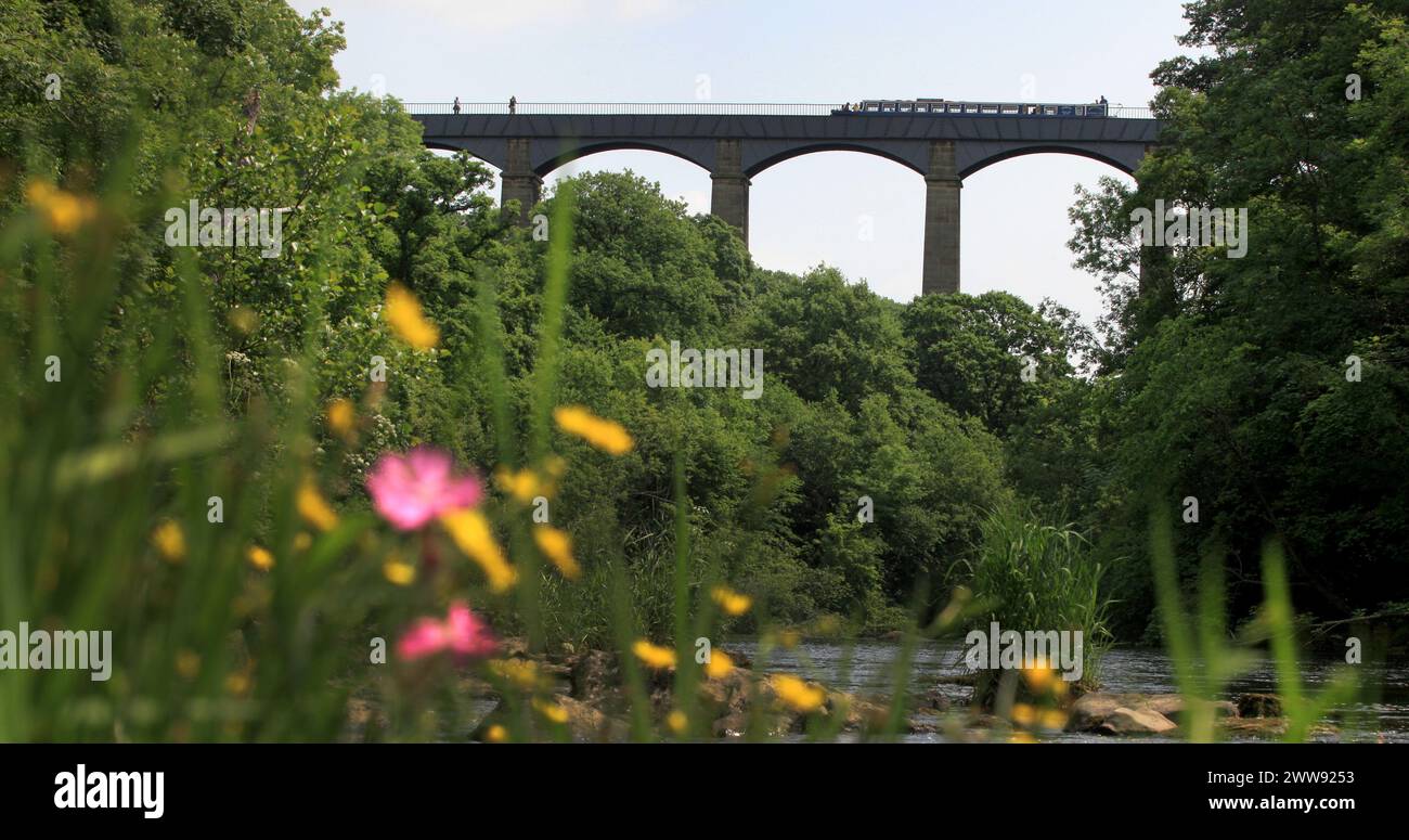 26/06/13 è un bel tempo per andare in barca, mentre il sole splende su una barca stretta mentre naviga sopra l'acquedotto più alto e più lungo della Gran Bretagna. T Foto Stock