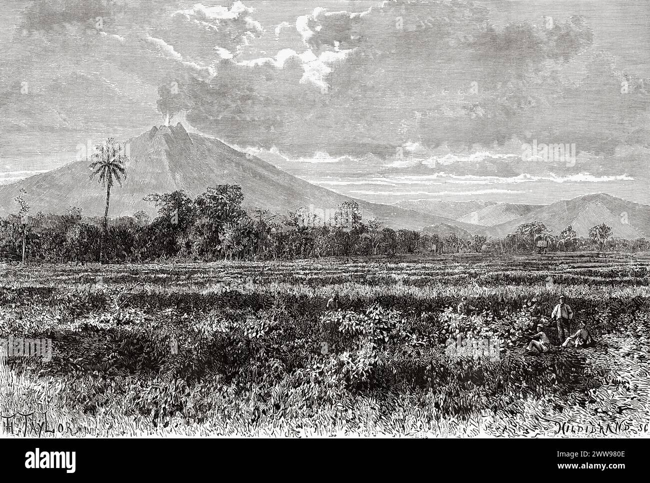 Il Monte Kerinci è uno stratovulcano attivo e la montagna più alta di Sumatra, a 12.484 piedi (3.805 m) sul livello del mare, fornisce Sumatra con la quinta elevazione massima più alta di qualsiasi isola al mondo, l'isola di Sumatra. Indonesia. Disegno di Taylor. Attraverso l'isola di Sumatra 1877 di Daniel David Veth (1850 - 1885) le Tour du Monde 1880 Foto Stock