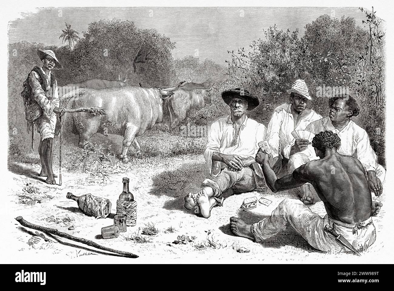 Gruppo di cowboy che riposano e giocano a carte mentre bevono vino, Repubblica di Panama. America centrale. Disegno di Gaston Vuillier (1845 - 1915) esplorazioni dell'istmo di Panama e della regione di Darien di Armand Reclus (1843 - 1927) le Tour du Monde 1880 Foto Stock