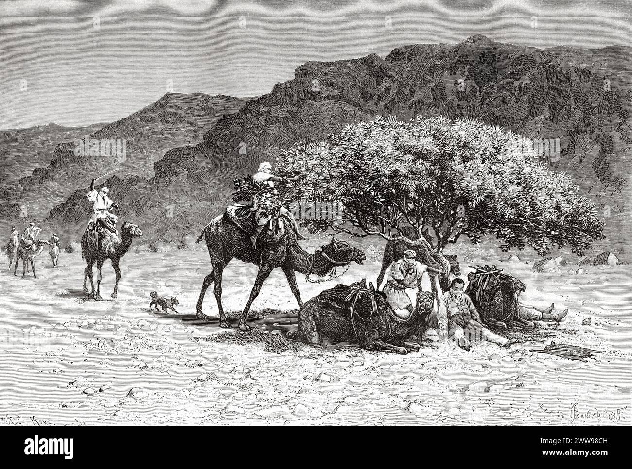 La spedizione fa una sosta sotto l'ombra dell'albero di acacia nel deserto del Sahara, nella regione del Tibesti, in Ciad, in Africa. Disegno di Ivan Pranishnikoff (1841 - 1909) due mesi a Tibesti, episodi da viaggi in Africa 1869-1873 di Dr. Gustav Hermann Nachtigal (1834 - 1885) le Tour du Monde 1880 Foto Stock