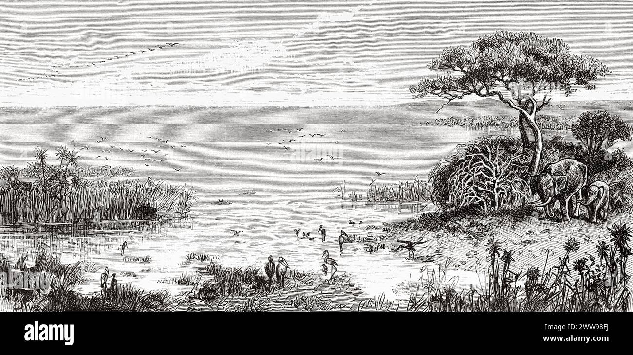Vista sulle rive del lago Ciad, Ciad, Africa centrale. Disegno di Ivan Pranishnikoff (1841 - 1909) viaggio da Borno a Baguirmi 1872 del Dr. Gustav Hermann Nachtigal (1834 - 1885) le Tour du Monde 1880 Foto Stock