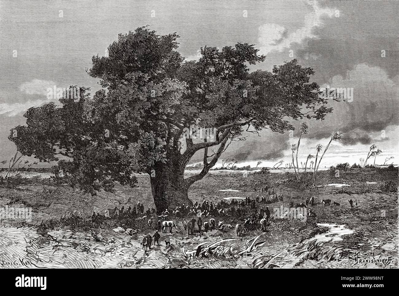 Sotto l'albero di fico di saurage, durante la tempesta, Chad. Africa centrale. Disegno di Ivan Pranishnikoff (1841 - 1909) viaggio da Borno a Baguirmi 1872 del Dr. Gustav Hermann Nachtigal (1834 - 1885) le Tour du Monde 1880 Foto Stock