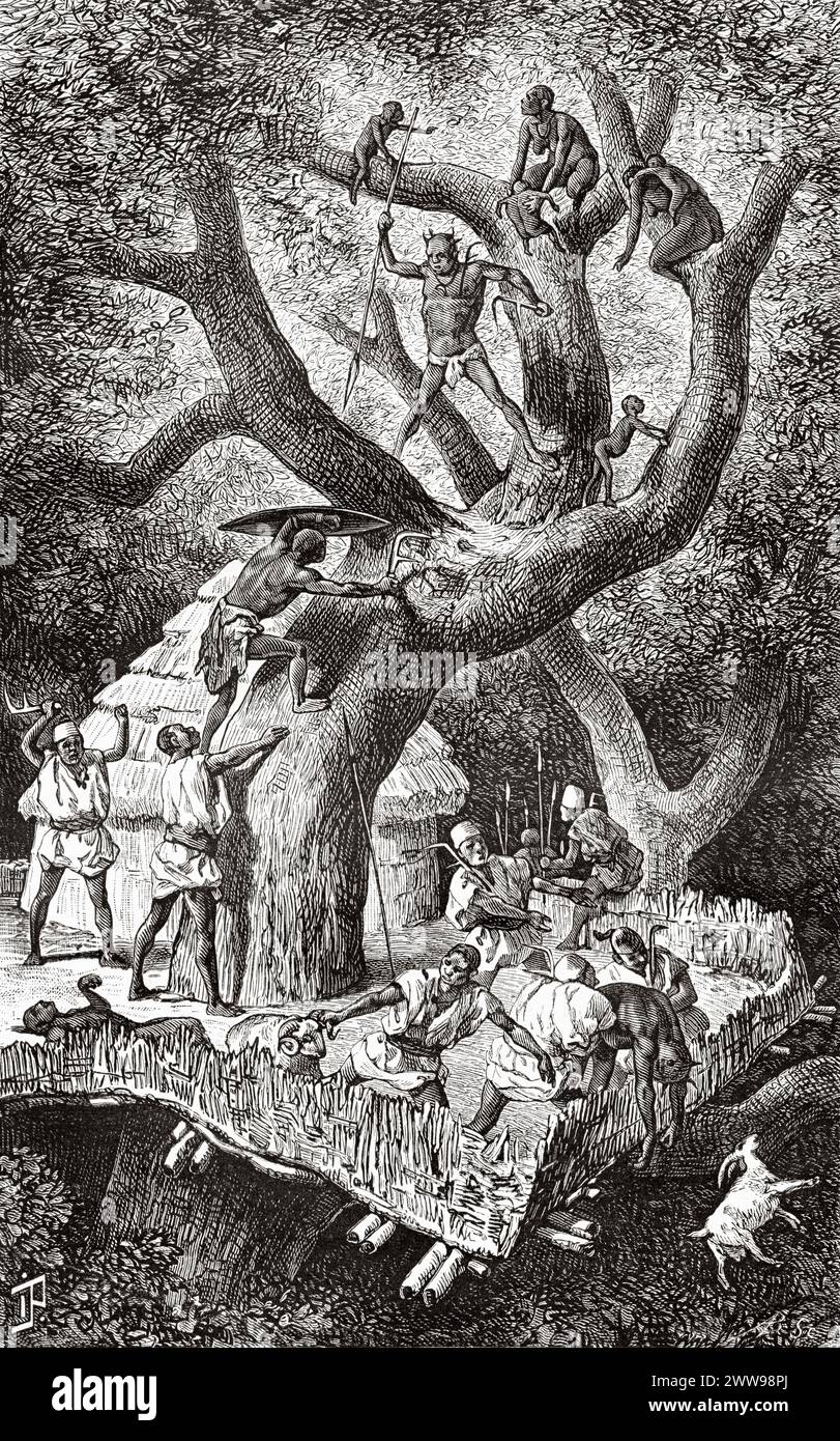 Capo Gaberi Tree Attack, Chad. Africa centrale. Disegno di Ivan Pranishnikoff (1841 - 1909) viaggio da Borno a Baguirmi 1872 del Dr. Gustav Hermann Nachtigal (1834 - 1885) le Tour du Monde 1880 Foto Stock
