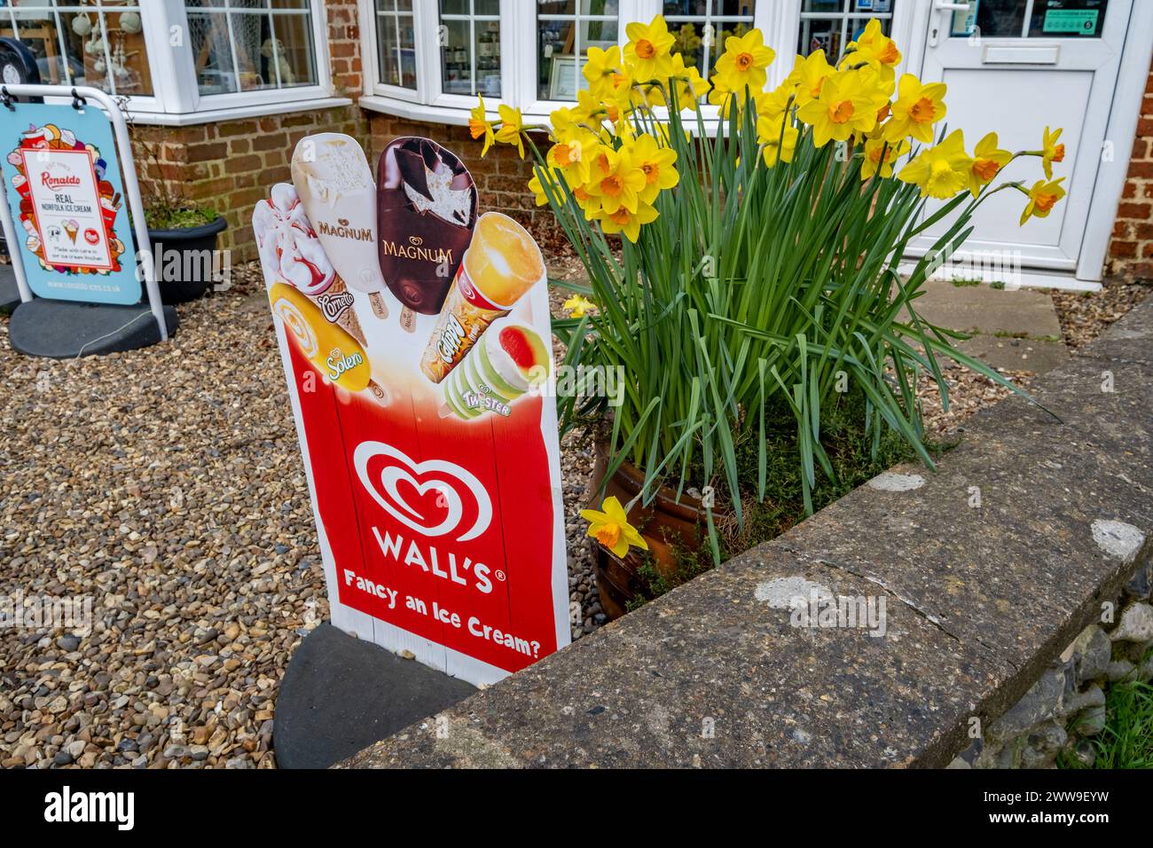 Thurne, Norfolk, Regno Unito – 16 marzo 2023. Un cartello del gelato di Wall, e narcisi, fuori da un piccolo negozio di un villaggio locale Foto Stock
