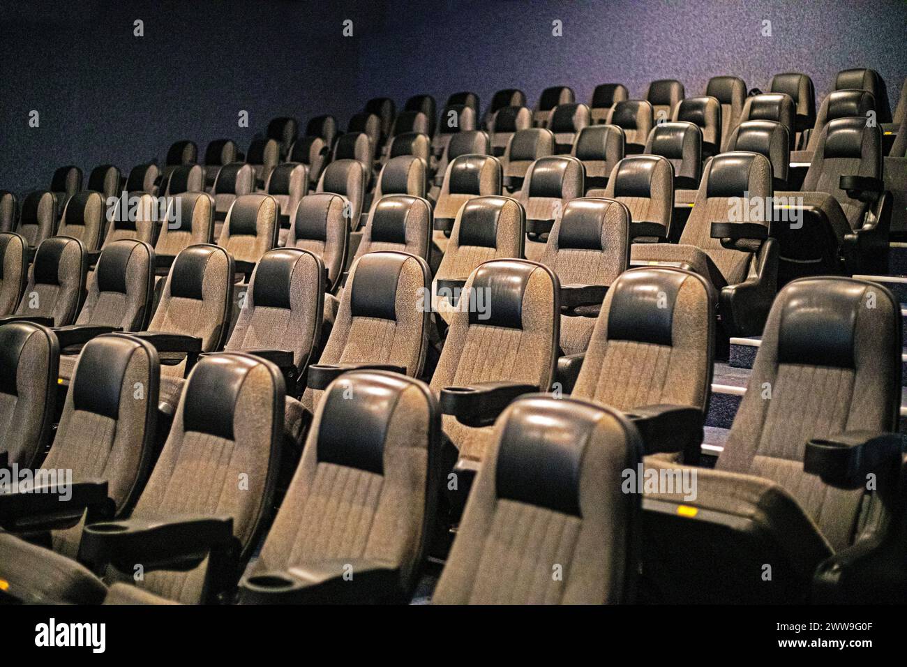 sala vuota con sedie in un cinema prima di guardare un film, vacanza in famiglia Foto Stock