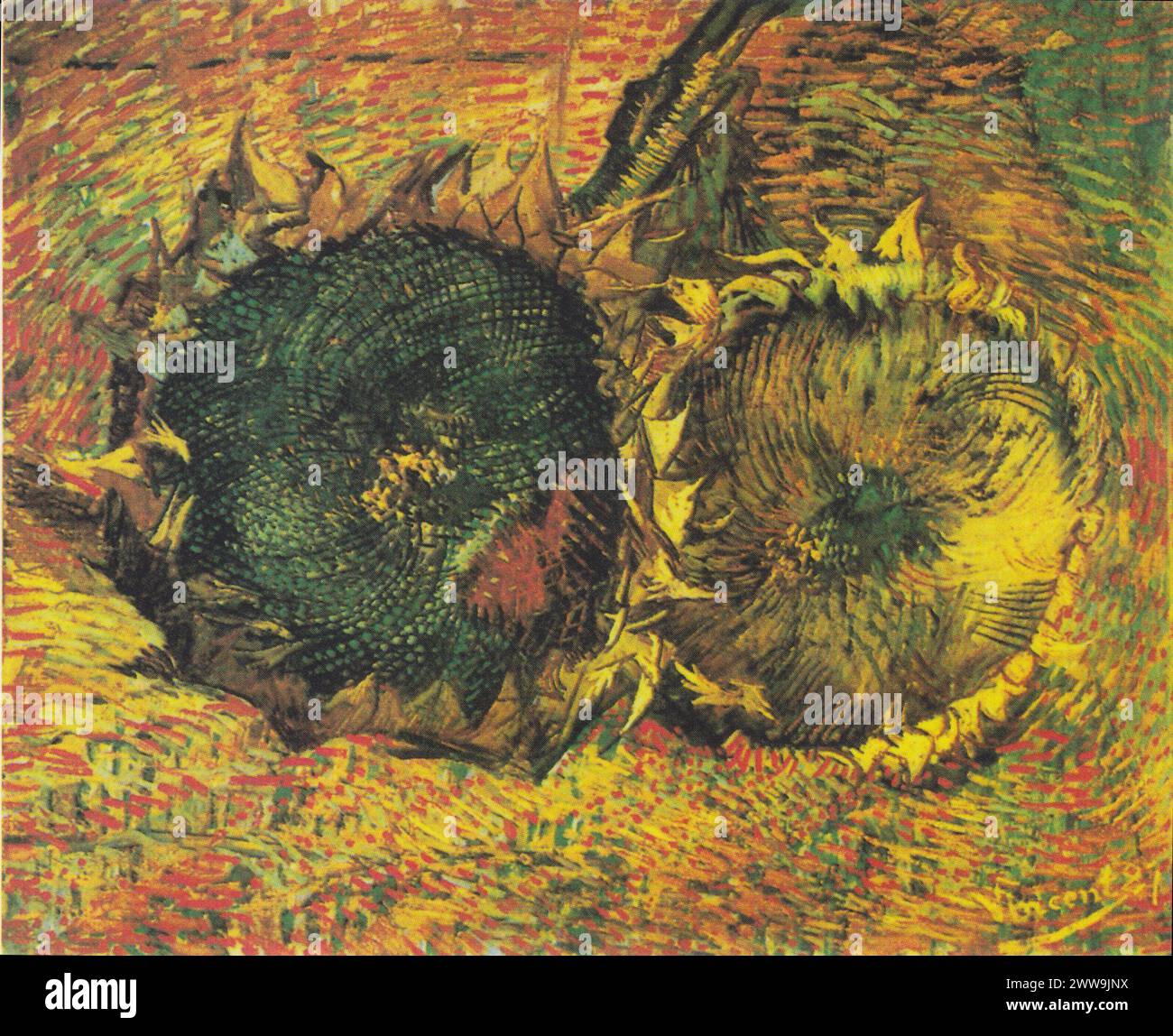 Due girasoli tagliati - Vincent van Gogh: Zwei abgeschnittene Sonnenblumen Foto Stock