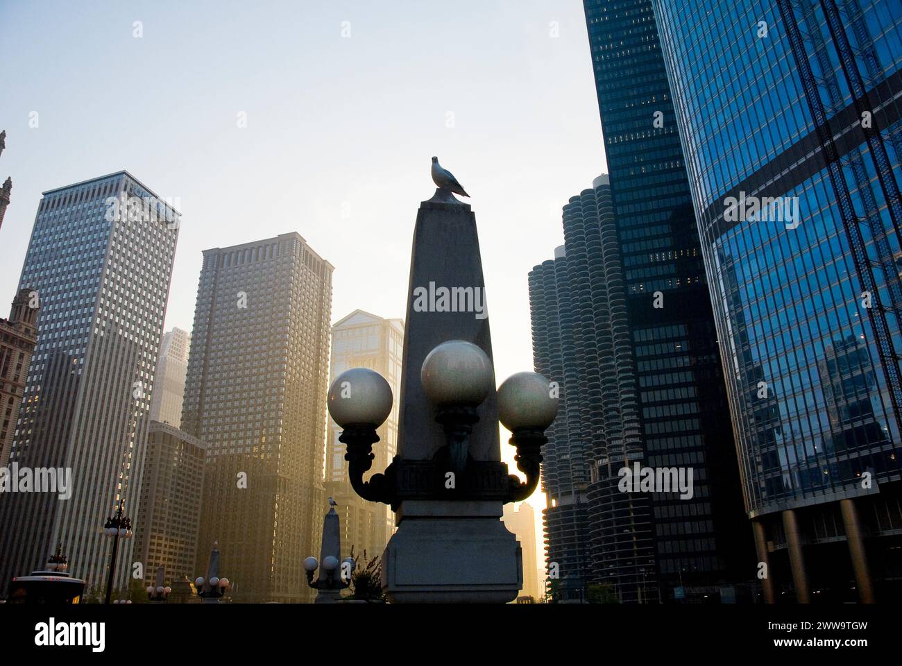 Bird on lamp post - Sunset - monumenti architettonici e strutture storiche allineano il fiume Chicago - Chicago, Illinois - USA Foto Stock