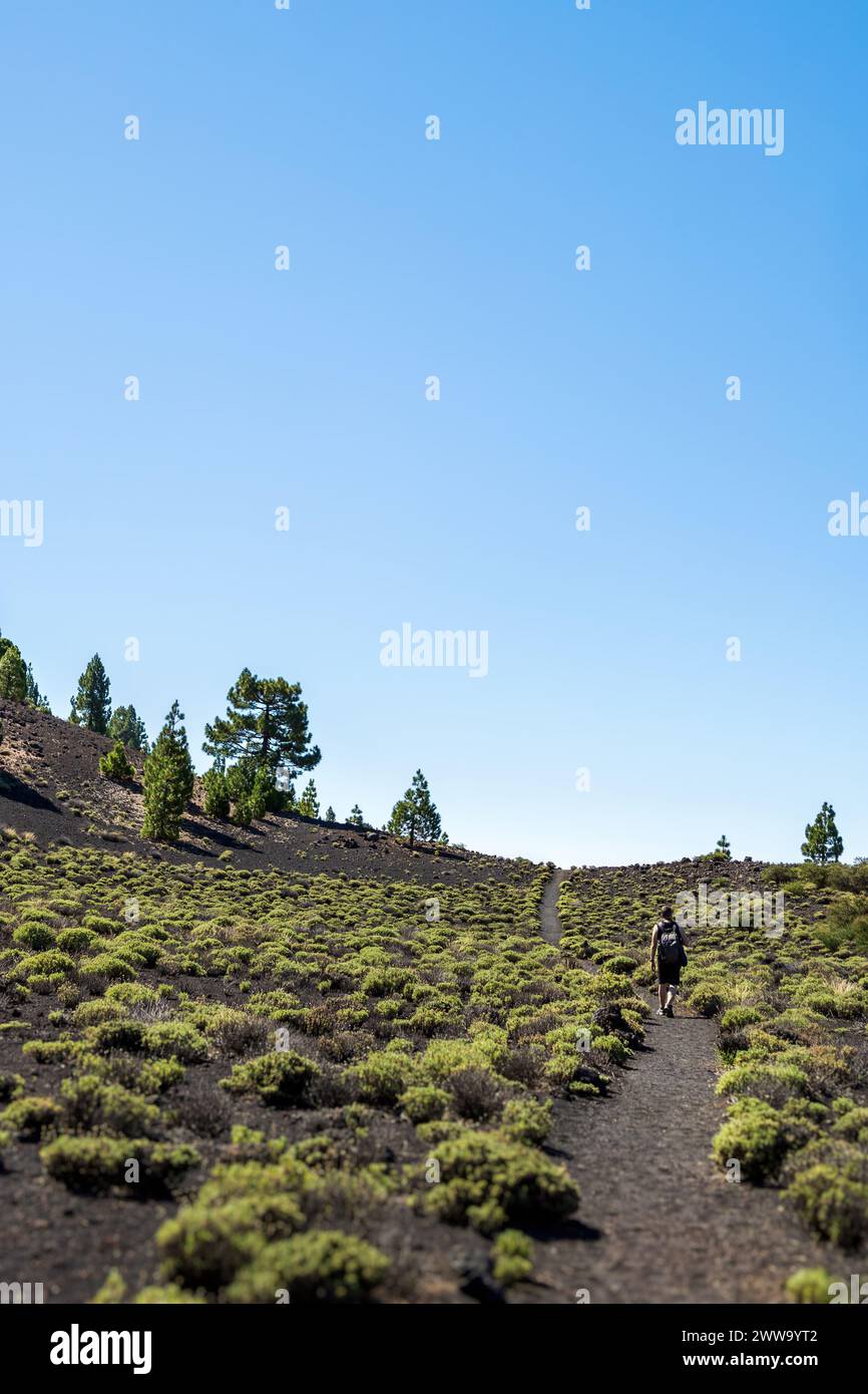 Uomo escursionista che cammina lungo un sentiero su la ruta de los volcanes (percorso vulcanico), Parque Natural Cumbre Vieja, la Palma, Isole Canarie Foto Stock