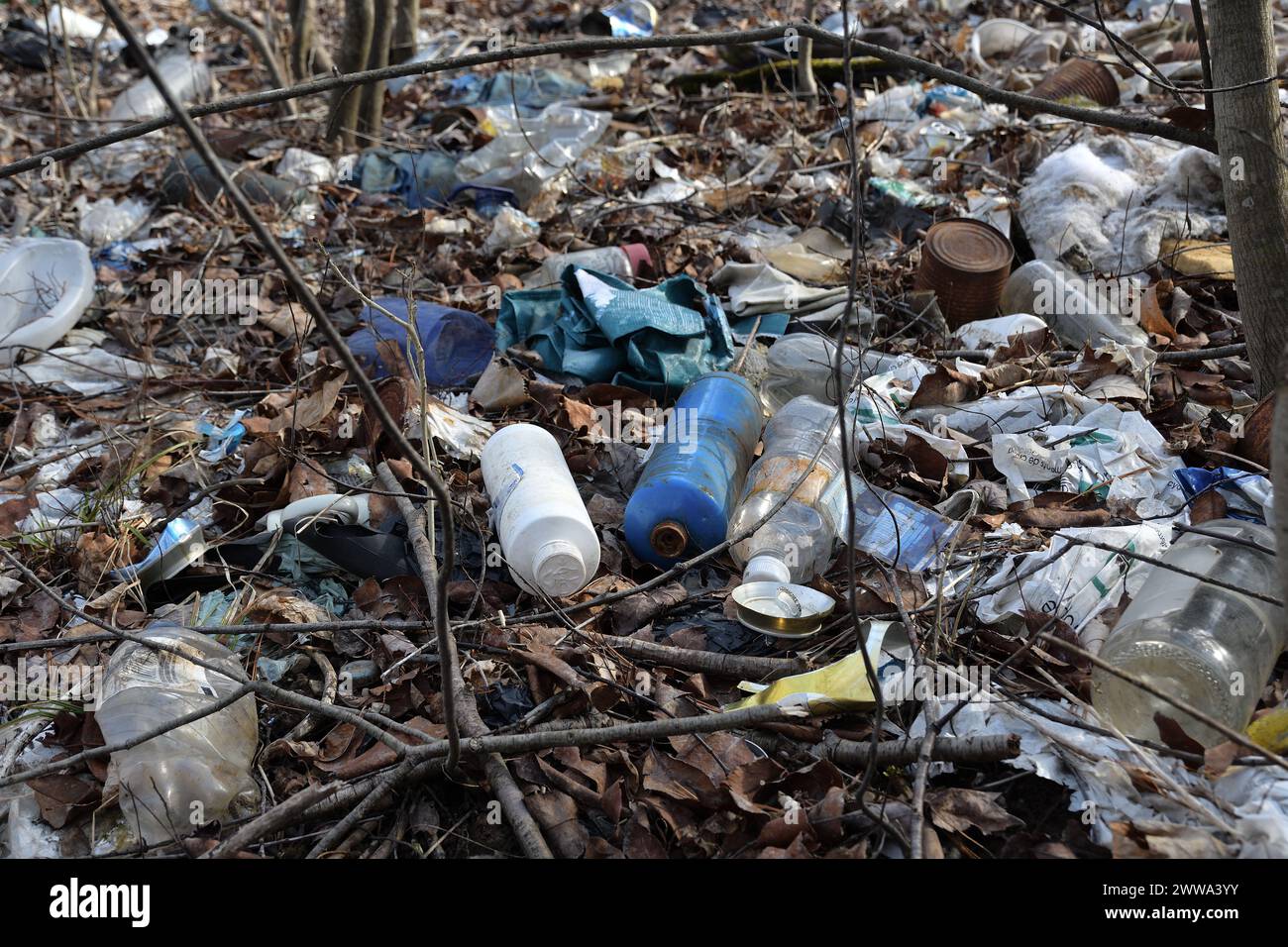 Inquinamento forestale con vecchie lattine, bottiglie d'acqua, contenitori di plastica. Foto Stock