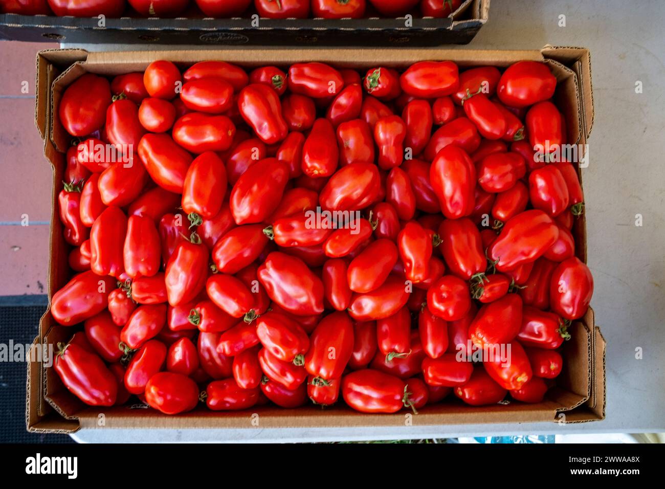 Pomodori italiani San Marzano raccolti maturi pronti per la consegna in un ristorante Foto Stock