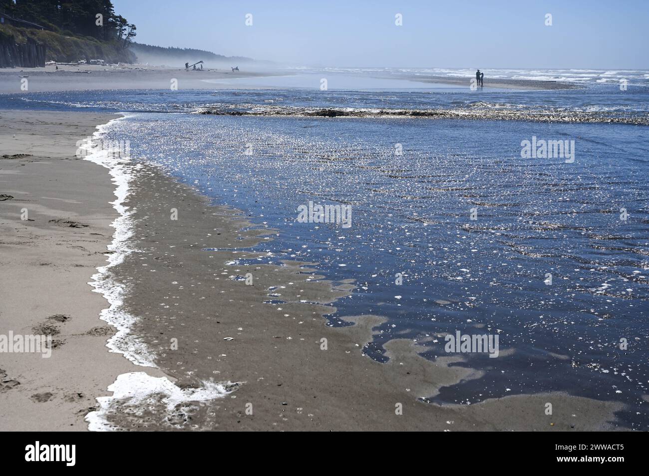 Kalaloch Beach sulla costa occidentale dello stato di Washington. Persone che camminano lungo il bordo dell'acqua, si godono le onde che si infrangono. Foto Stock