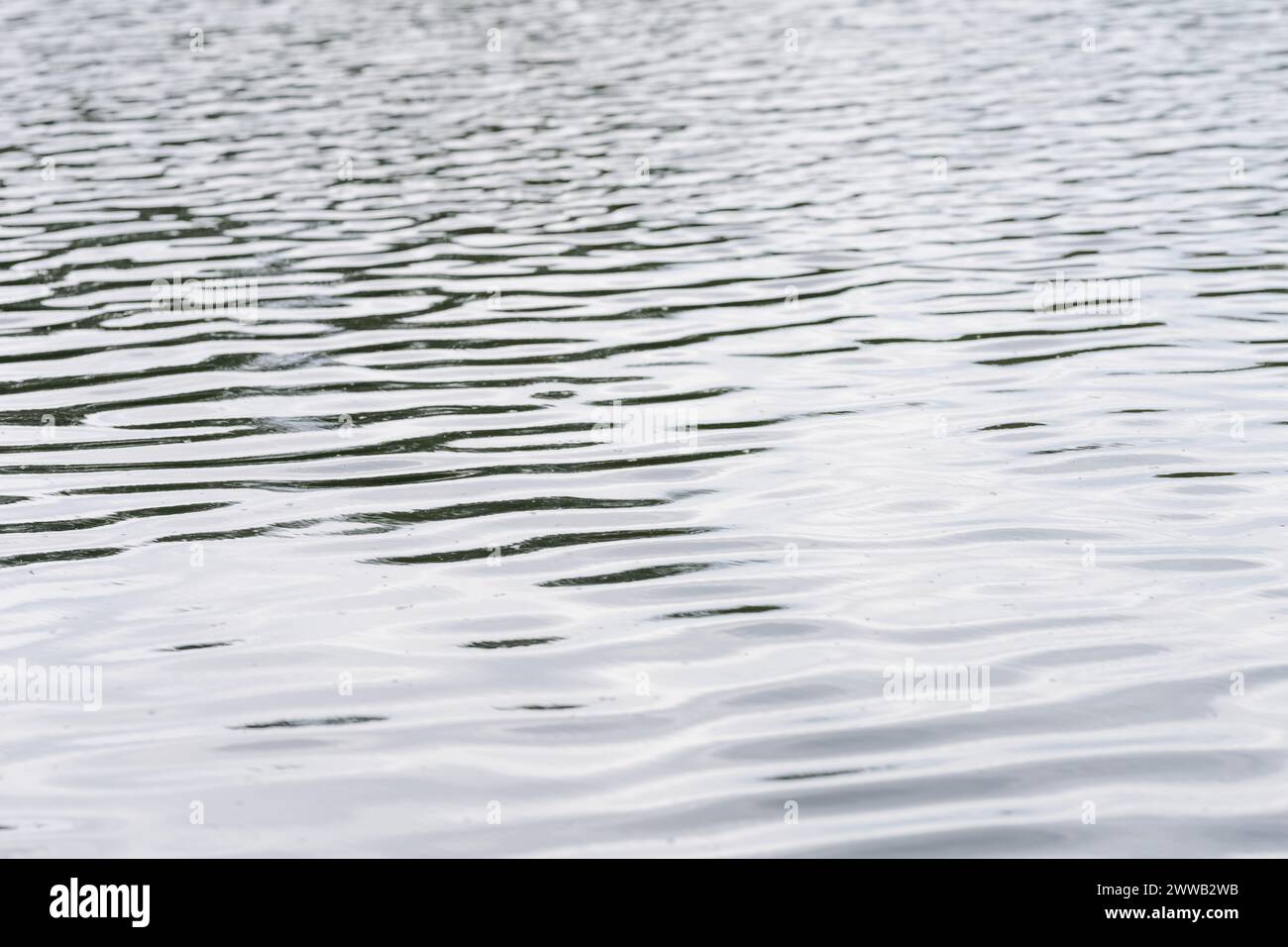 Primo piano della superficie dell'acqua del lago con ondulazioni del vento, messa a fuoco poco profonda Foto Stock