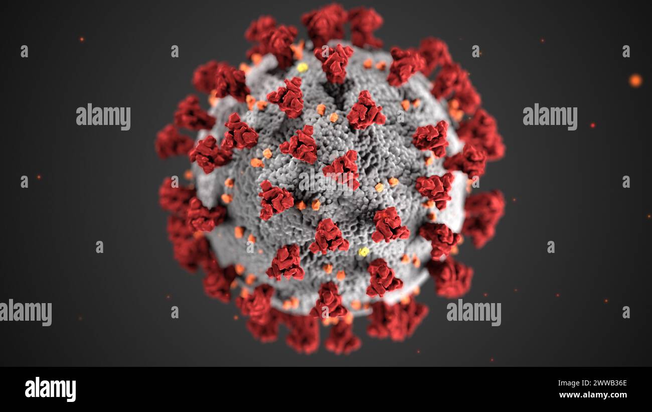 Questa illustrazione, creata presso i Centers for Disease Control and Prevention (CDC), rivela la morfologia ultrastrutturale esposta dai coronavirus. Foto Stock