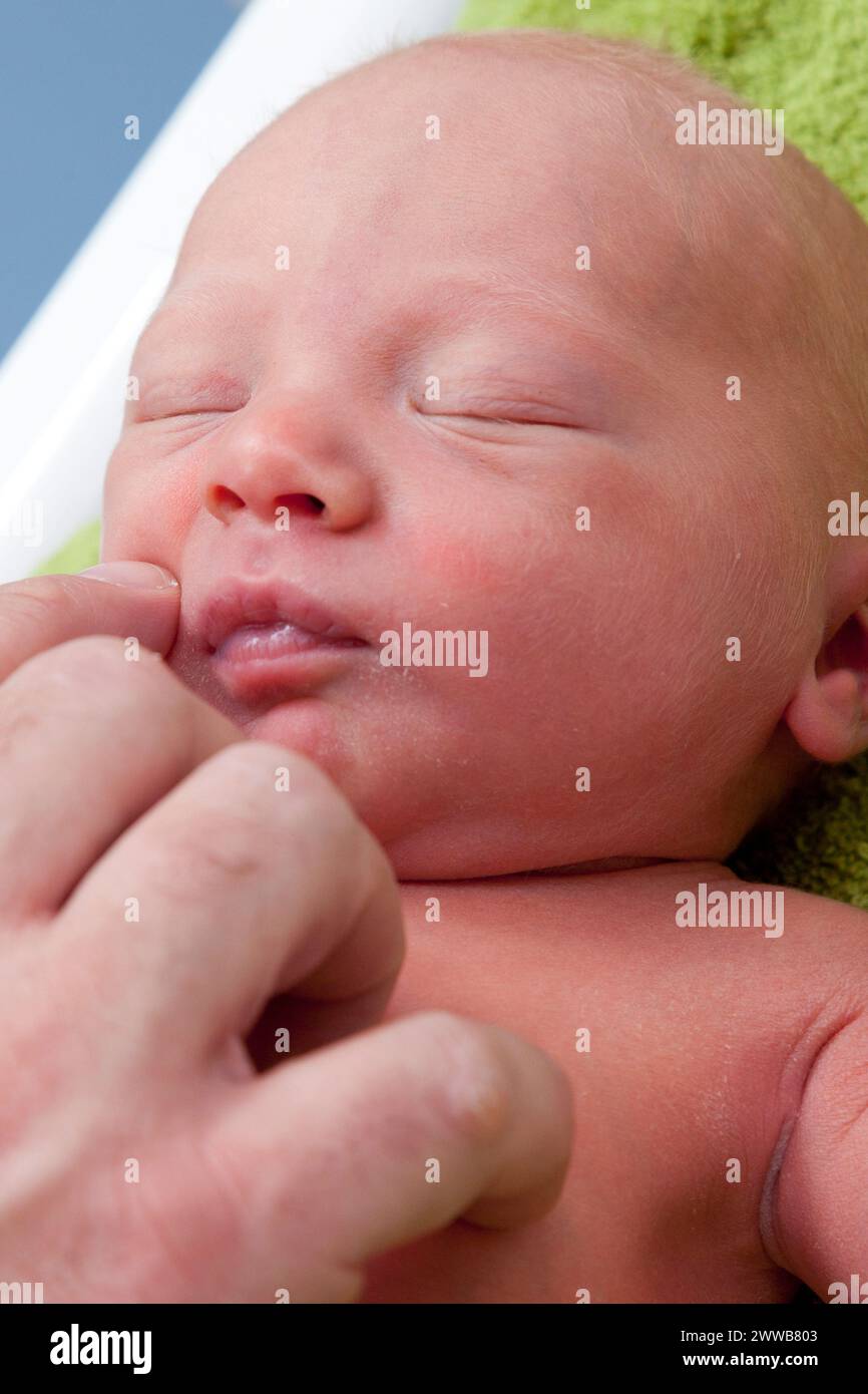 Il pediatra stimola i punti cardinali (intorno alla bocca) per garantire il buon riflesso del neonato durante l'esame neurologico. Foto Stock