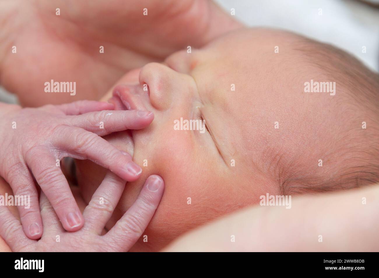 Primo piano del neonato con le mani sul viso. Foto Stock
