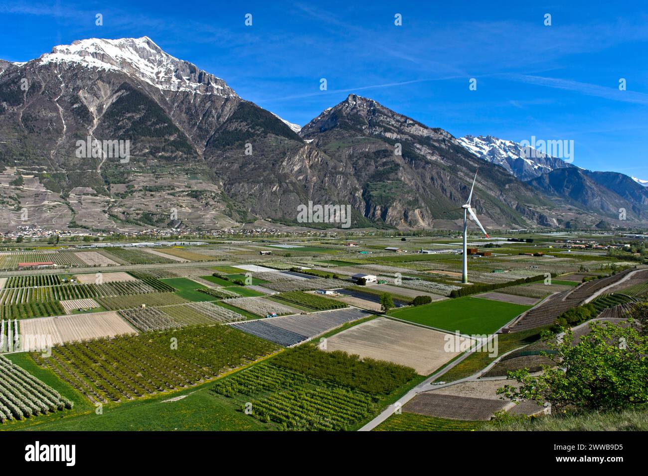 Campi e piantagioni per la coltivazione di frutta e verdura con una turbina eolica Enercon e-101 nella valle del Rodano, Charrat, Vallese, Svizzera Foto Stock