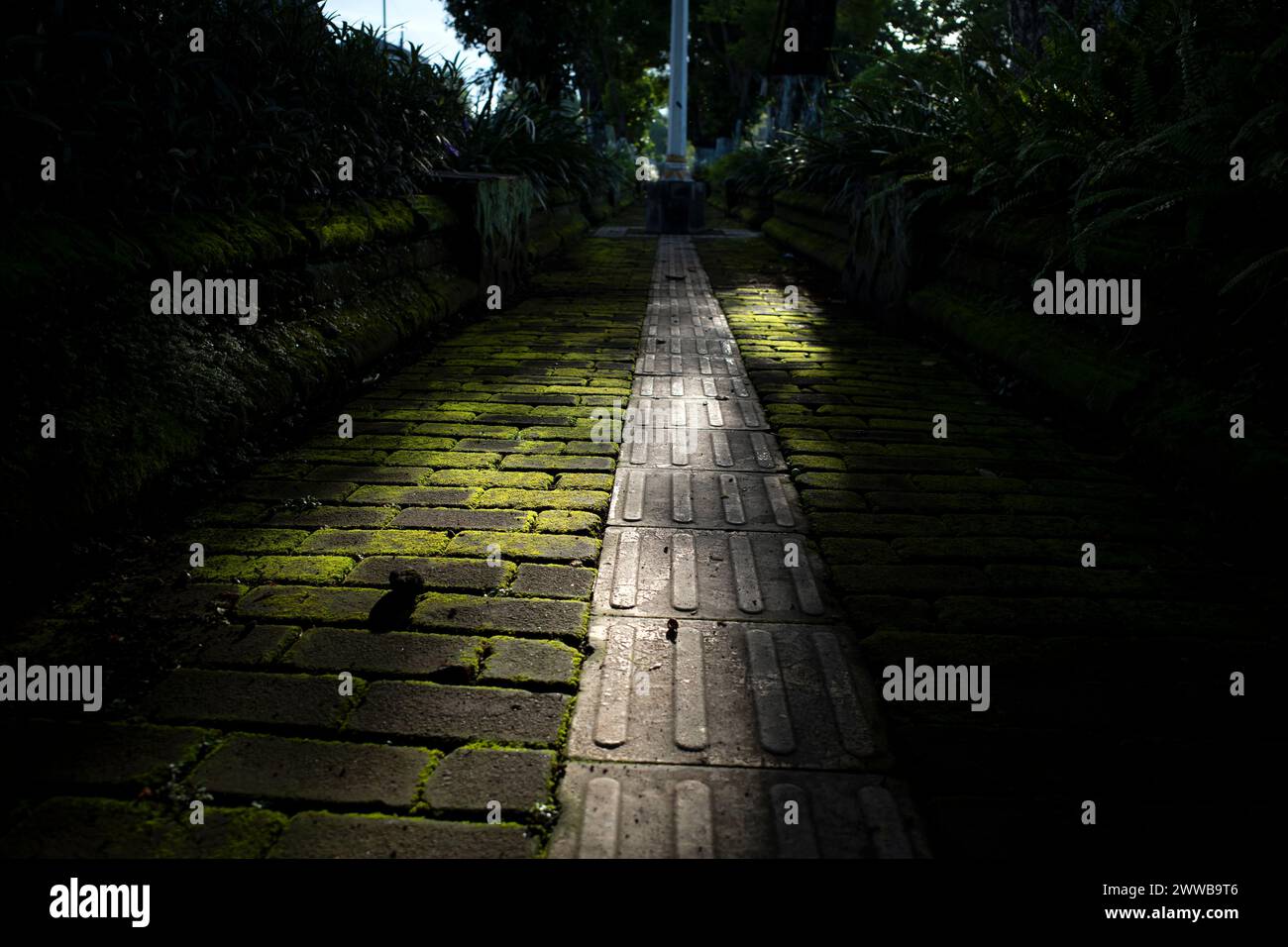 La mattina presto su una pavimentazione tattile vintage per i non vedenti. Foto Stock