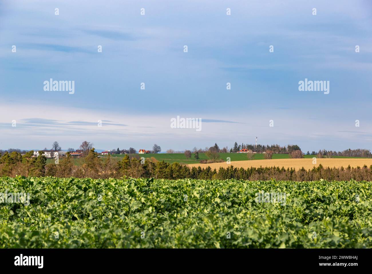 Paesaggio primaverile dell'Europa centrale Foto Stock