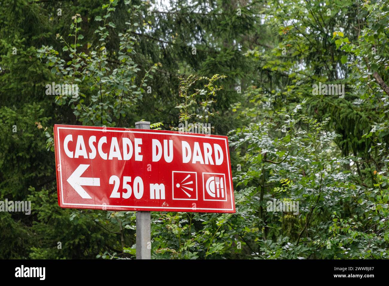 Cartello segnaletico che indica il percorso per la cascata del Dard nel massiccio del Monte bianco, a breve distanza dal Tunnel del Monte bianco, Chamonix, Francia Foto Stock