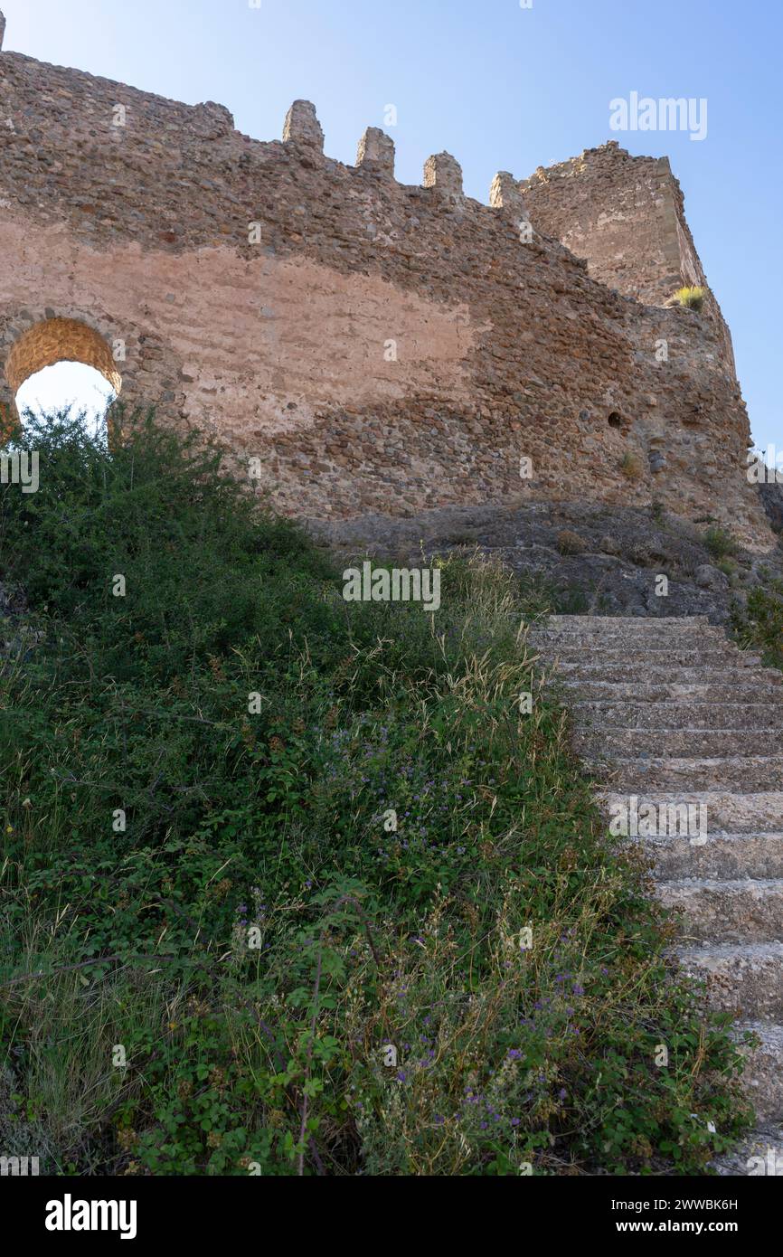 Si erge un antico castello, le sue mura in pietra abbracciate da un cespuglio verde. Questa venerabile fortezza è immersa nella storia. Foto Stock
