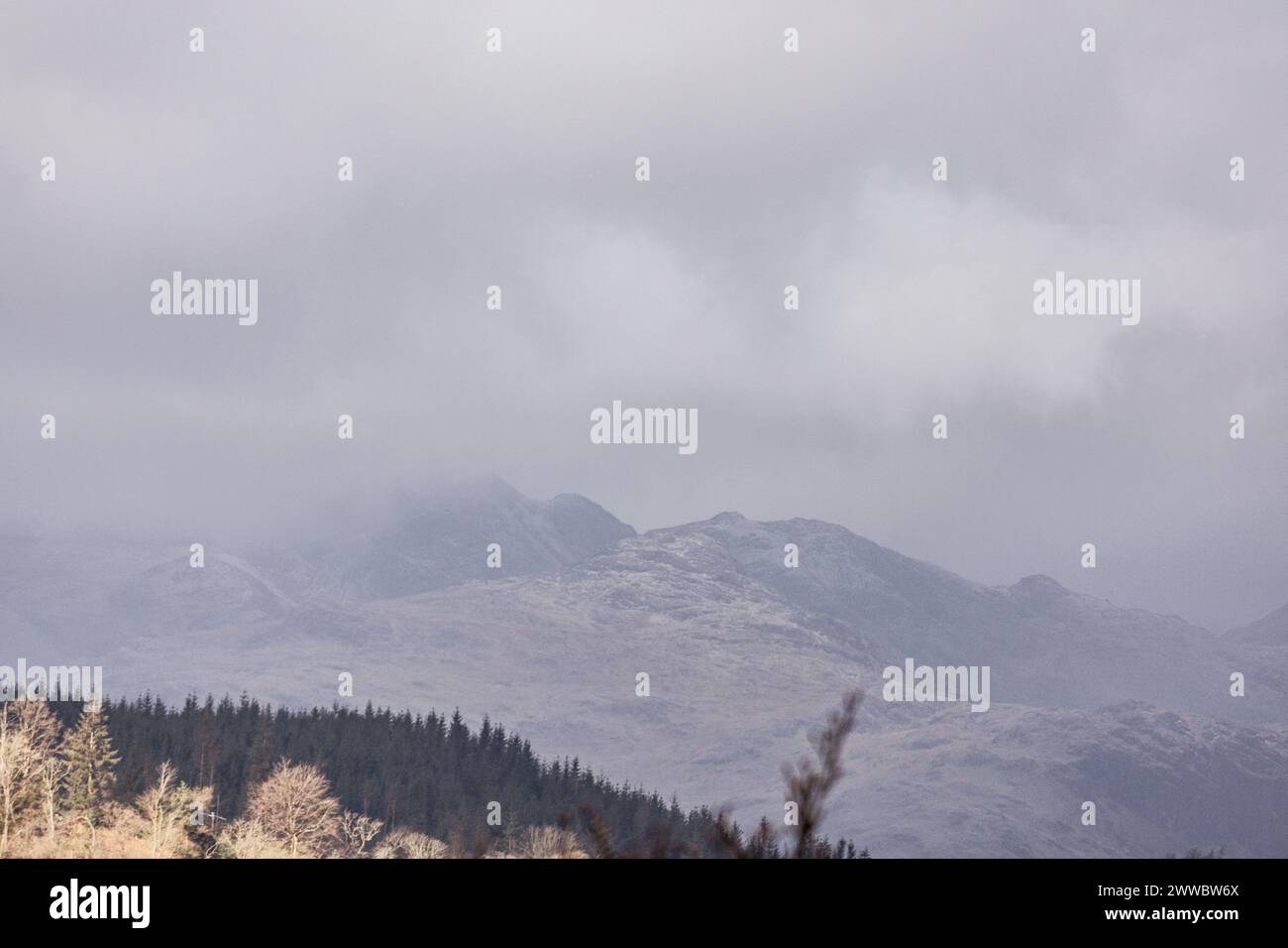 Cumbria, Regno Unito. 23 marzo 2024. Tempo Regno Unito.spolverare di neve sulle alte colline sopra e intorno al lago Windermere, Cumbria meridionale, il Lake District . Crediti: Gordon Shoosmith/Alamy Live News Foto Stock