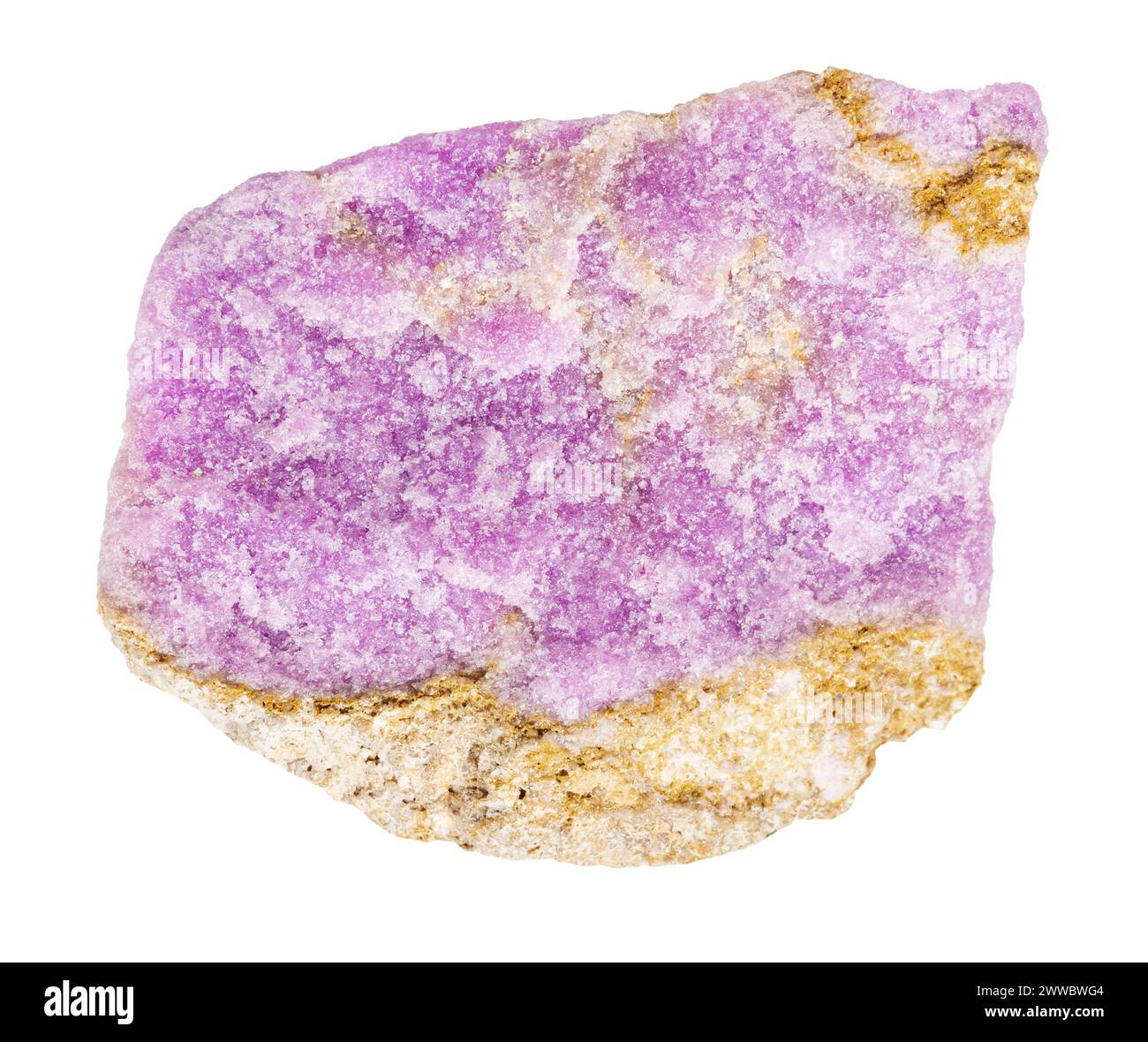 Primo piano del campione di pietra naturale proveniente dalla raccolta geologica - minerale di fosfosiderite grezza isolato su sfondo bianco dalle Ande cilene Foto Stock