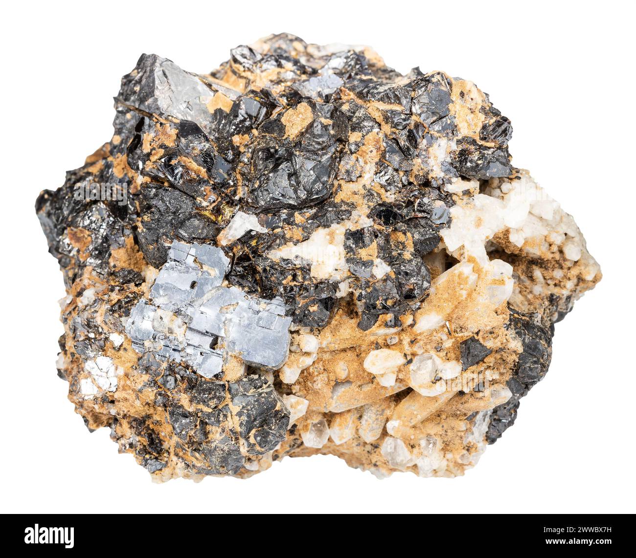 primo piano di un campione di pietra naturale proveniente dalla raccolta geologica - sphalerite con minerali galena in roccia grezza di baryte isolata su sfondo bianco Foto Stock