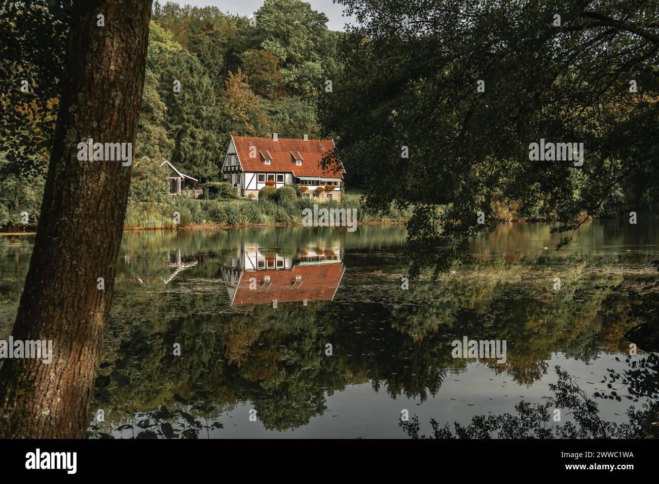 Casa sul lago nel paesaggio naturale della foresta di Teutoburgo nella Renania settentrionale-Vestfalia Foto Stock