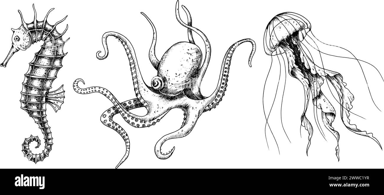 Set vettoriale con animali marini. Schizzo disegnato a mano di cavalluccio marino, meduse e Octopus. Illustrazione con vita marina subacquea dipinta da inchiostri neri in stile line art. Incisione di medusa per icona o logo. Illustrazione Vettoriale