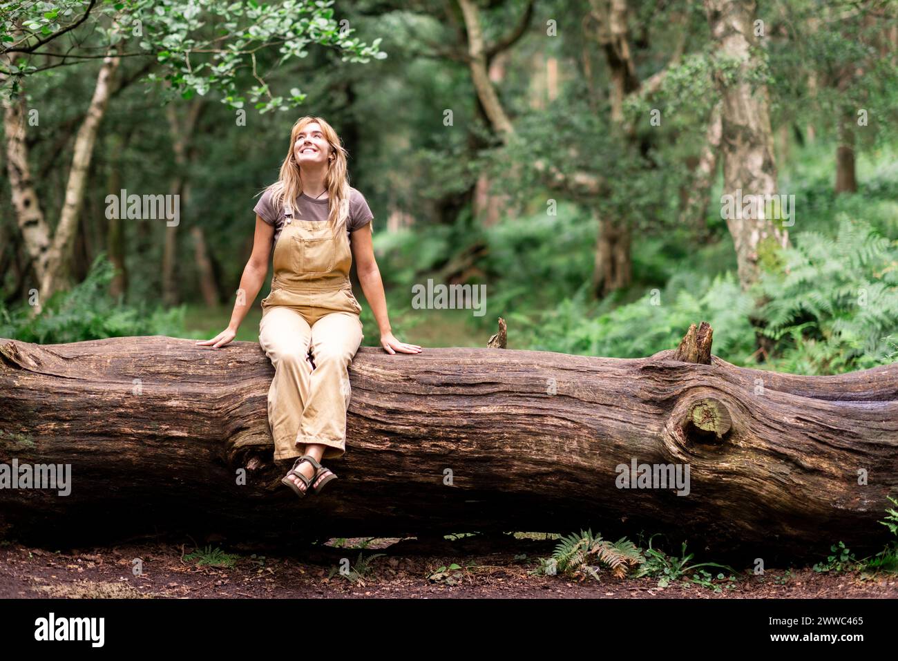 Giovane donna felice seduta sul tronco dell'albero Foto Stock