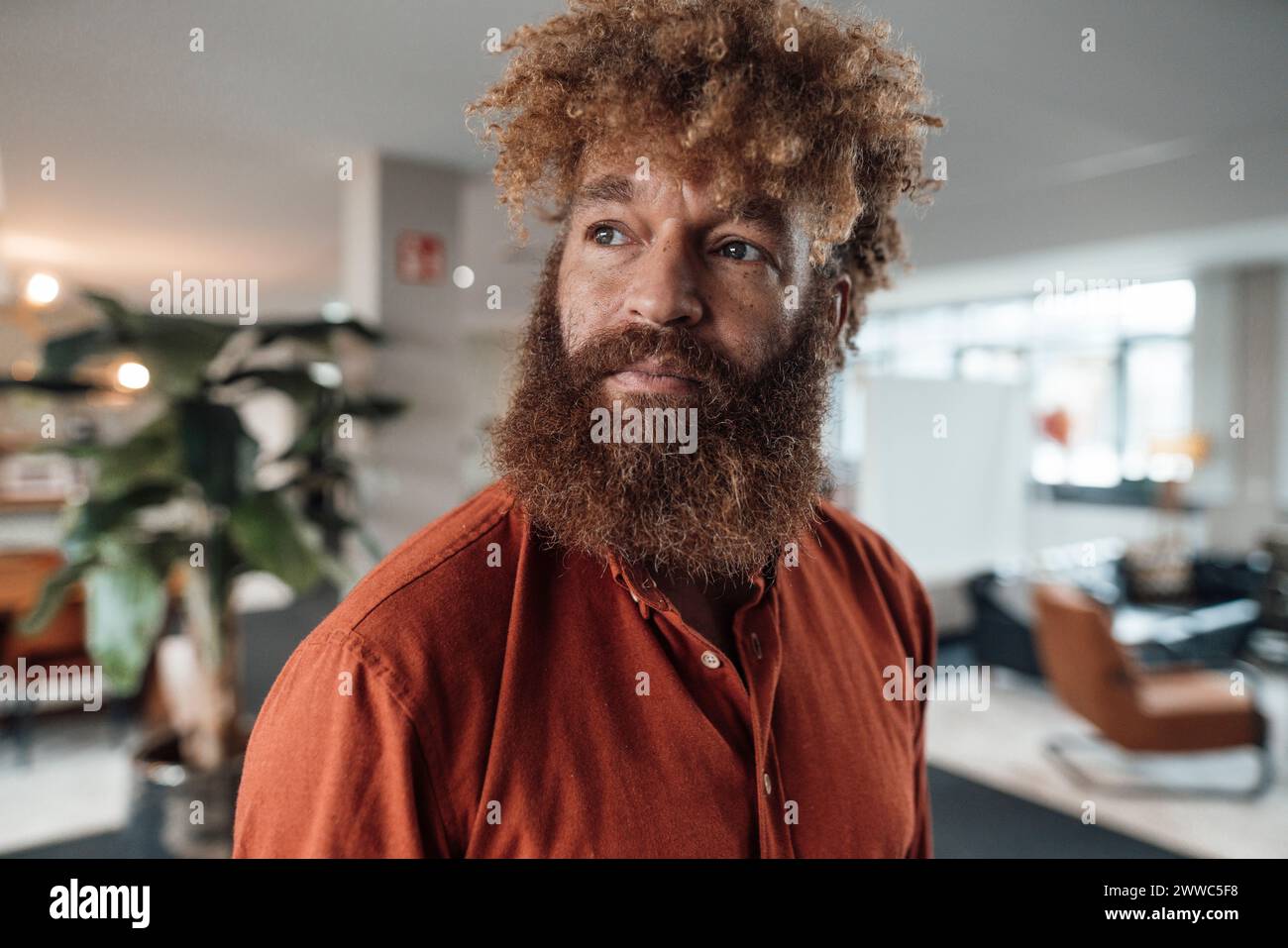 Uomo d'affari maturo con barba che indossa una camicia marrone nella caffetteria dell'ufficio Foto Stock