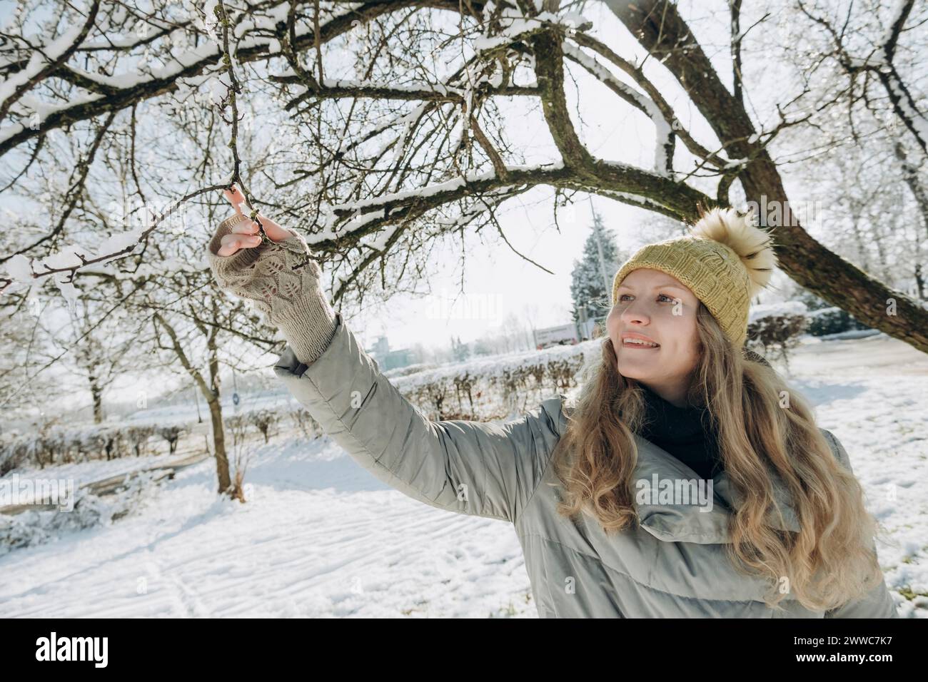 Donna felice che tocca rami di albero ricoperti di neve Foto Stock