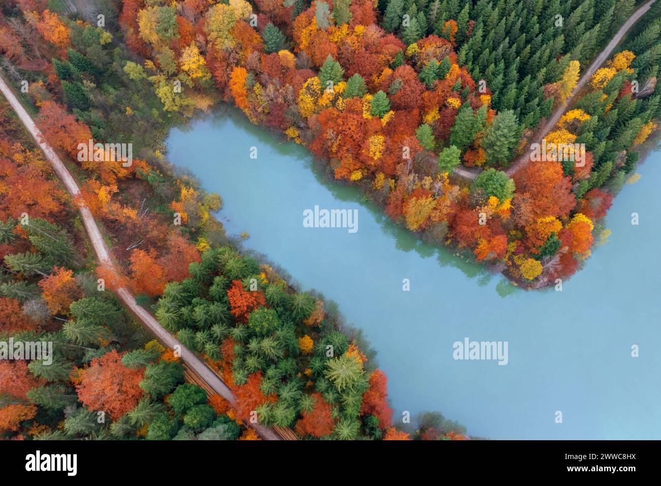 Germania, Baden-Wurttemberg, vista aerea del bacino idrico di Herrenbach e della foresta circostante in autunno Foto Stock