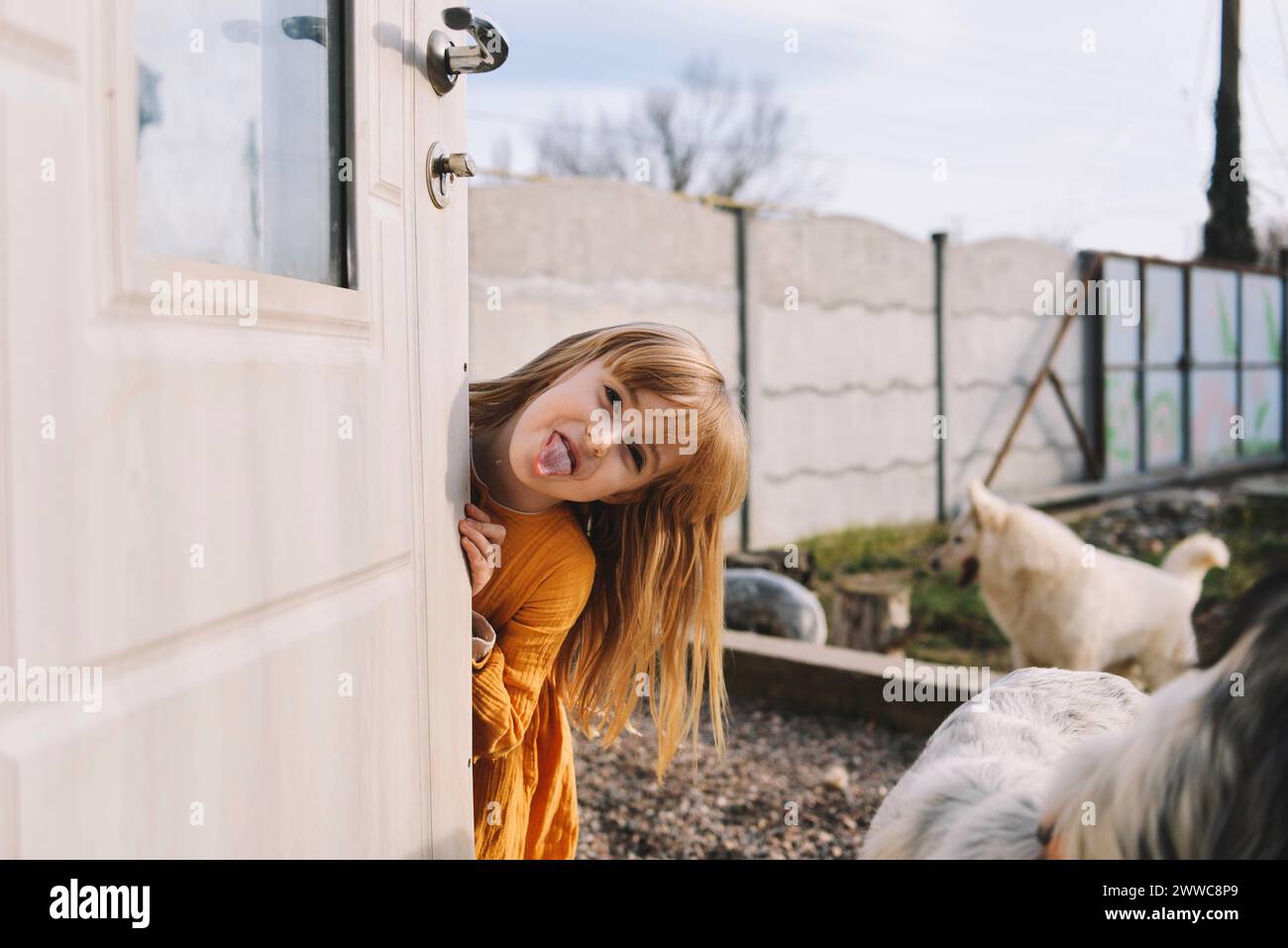 Una ragazza giocosa che si sporge la lingua vicino alla porta nel cortile posteriore Foto Stock