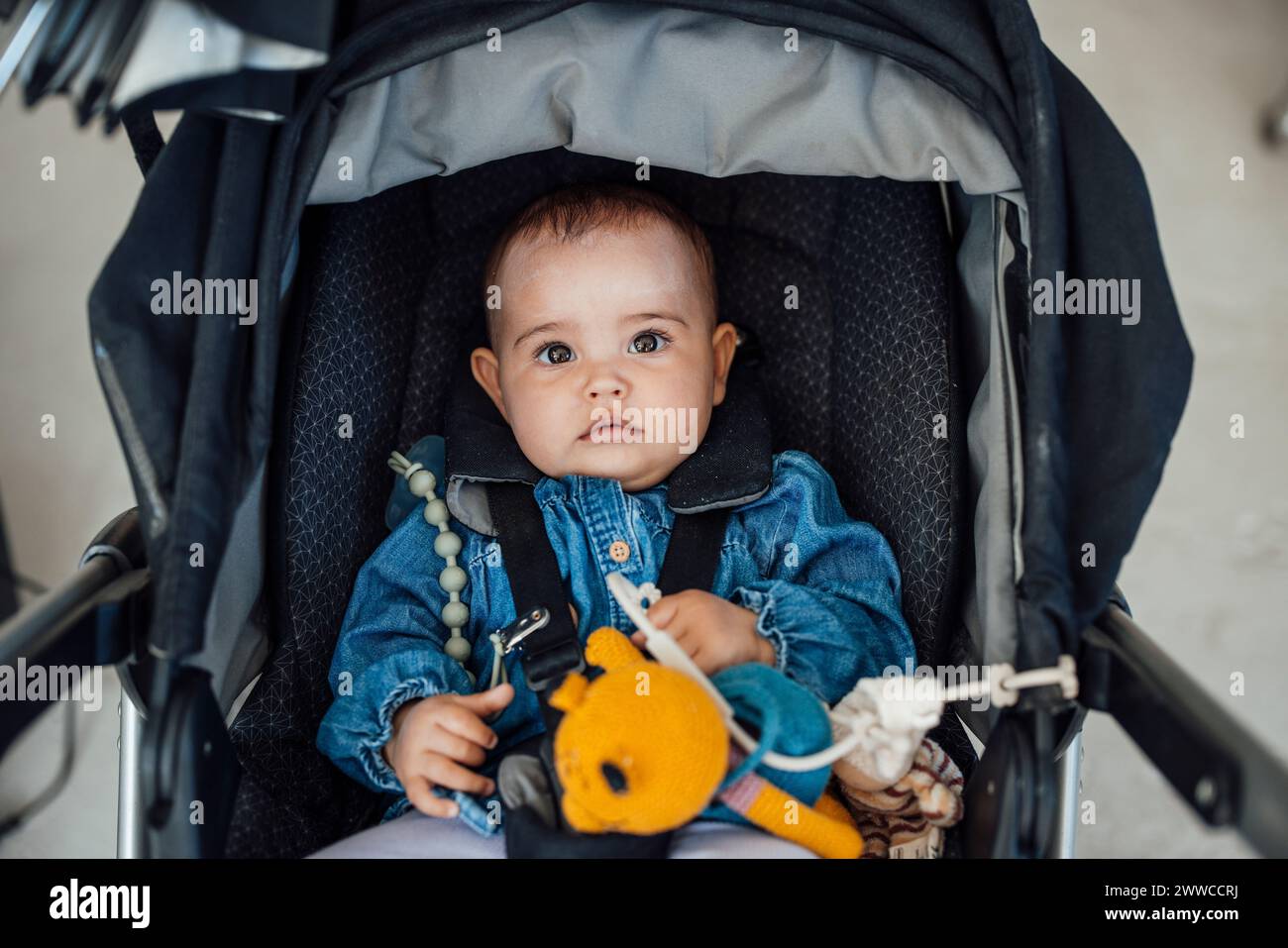 Bambina con giocattolo imbottito seduto in carrozza Foto Stock