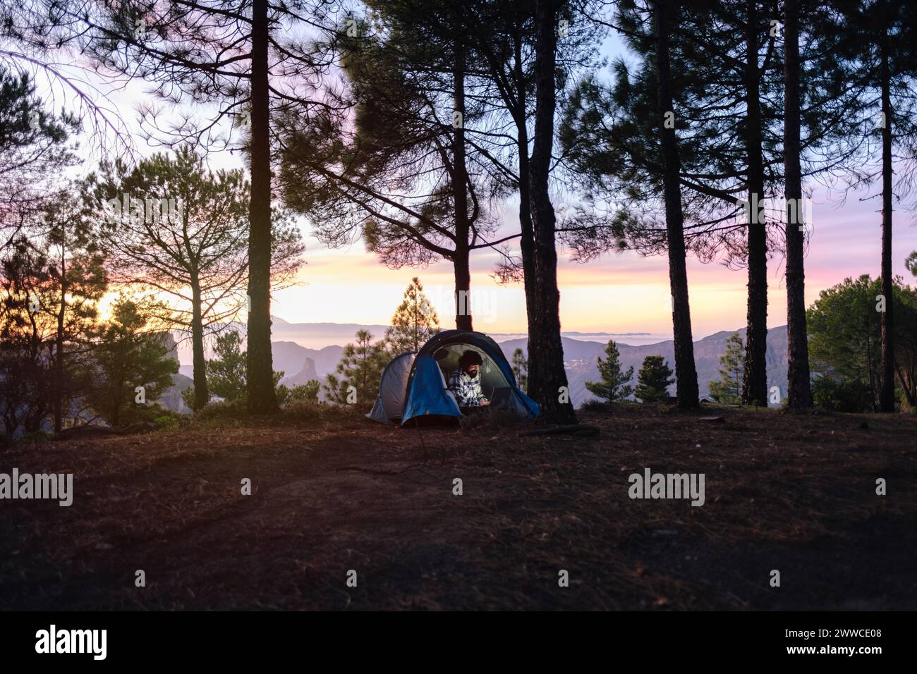 Freelance che lavora su un notebook in tenda vicino agli alberi Foto Stock