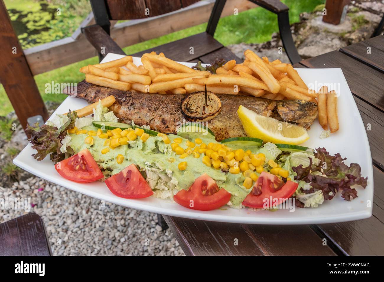 Piatto di trota alla griglia con patatine fritte e insalata in un ristorante nel villaggio di Kamienczyk, Polonia Foto Stock